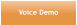 Voice Demo