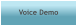 Voice Demo